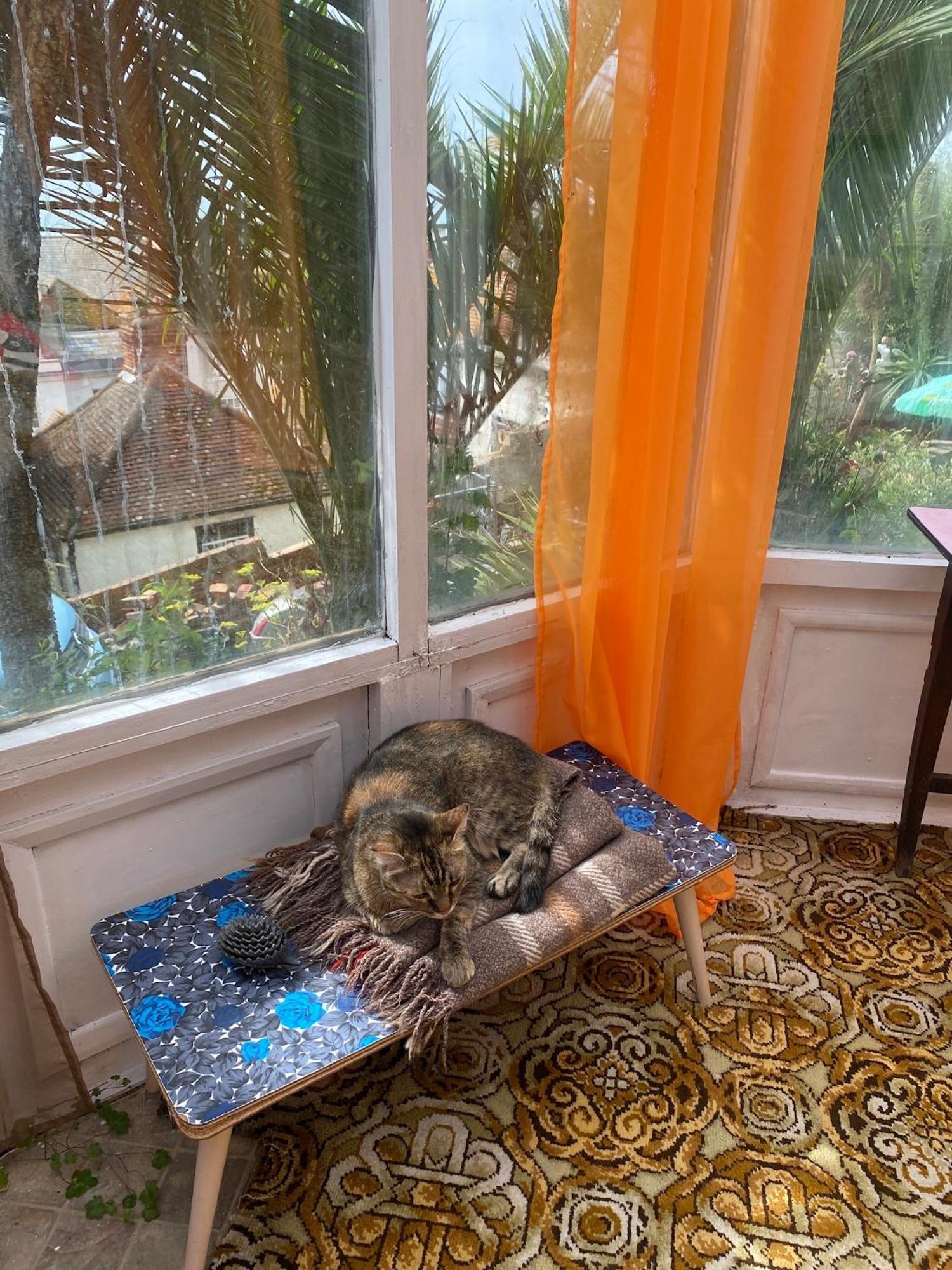 The Retro Retreat With Free Parking Appartement Hastings Buitenkant foto
